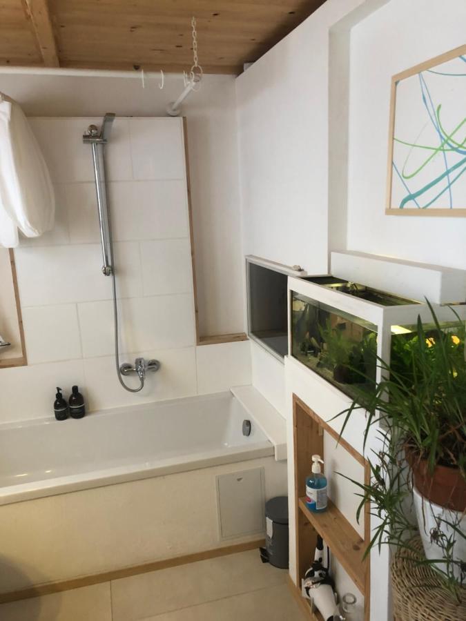 Apartment Achter De Mohl I 플렌스부르크 외부 사진